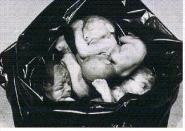 Roe v. Wade - garbage bag