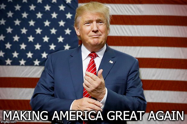 TRUMP - Making America Great Again (meme)