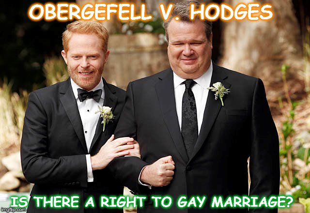 GAY MARRIAGE - Mitch and Cam (2)