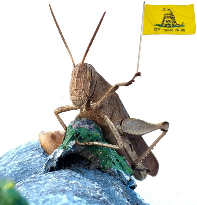 TEA PARTY - Katydid with Don't Tread on Me Flag - BEST