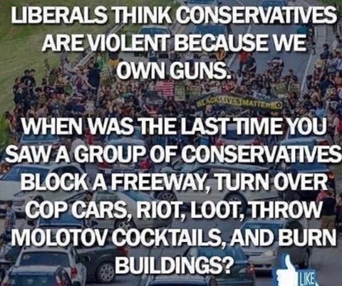 SECOND AMENDMENT - Conservatives are more responsible with guns (WalkAway meme)