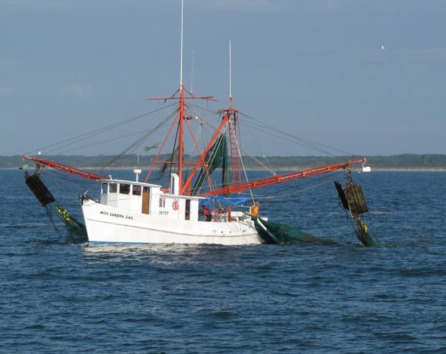 NC Fishing Boat - shrimp