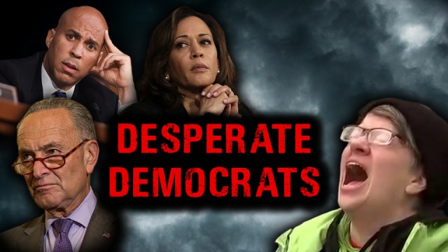 DEMOCRATS - Desperate Democrats